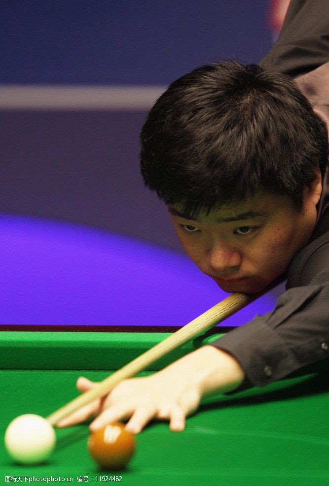 的内线怪物 的内线怪物